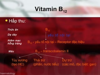 Vitamin B12
Hấp thu:
Thức ăn
Dạ dày
Niêm mạc
hỗng tràng
Máu B12 – transcobalamin II
B12
Tủy xương
(tạo HC)
Thải trừ
(phân, nước tiểu)
Dự trữ
(các mô, đặc biệt: gan)
yếu tố nội tại
B12 - yếu tố nội tại – Receptor đặc hiệu
 