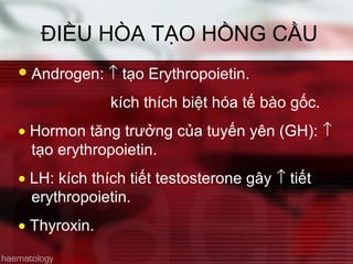 ĐIỀU HÒA TẠO HỒNG CẦU
Androgen: ↑ tạo Erythropoietin.
kích thích biệt hóa tế bào gốc.
• Hormon tăng trưởng của tuyến yên (GH): ↑
tạo erythropoietin.
• LH: kích thích tiết testosterone gây ↑ tiết
erythropoietin.
• Thyroxin.
 
