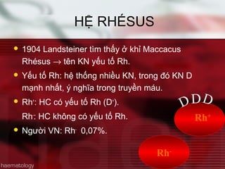 HỆ RHÉSUS
 1904 Landsteiner tìm thấy ở khỉ Maccacus
Rhésus → tên KN yếu tố Rh.
 Yếu tố Rh: hệ thống nhiều KN, trong đó KN D
mạnh nhất, ý nghĩa trong truyền máu.
 Rh+
: HC có yếu tố Rh (D+
).
Rh-
: HC không có yếu tố Rh.
 Người VN: Rh-
0,07%.
Rh-
DDD
Rh+
 