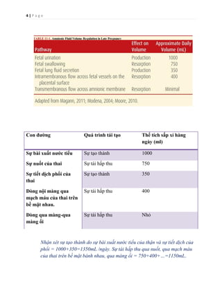 4 | P a g e
Con đường Quá trình tái tạo Thể tích sấp xỉ hàng
ngày (ml)
Sự bài xuất nước tiểu Sự tạo thành 1000
Sự nuốt của thai Sự tái hấp thu 750
Sự tiết dịch phổi của
thai
Sự tạo thành 350
Dòng nội màng qua
mạch máu của thai trên
bề mặt nhau.
Sự tái hấp thu 400
Dòng qua màng-qua
màng ối
Sự tái hấp thu Nhỏ
Nhận xét sự tạo thành do sự bài xuất nước tiểu của thận và sự tiết dịch của
phổi = 1000+350=1350mL /ngày. Sự tái hấp thu qua nuốt, qua mạch máu
của thai trên bề mặt bánh nhau, qua màng ối = 750+400+…=1150mL.
 