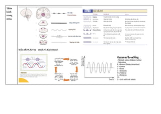 Thần
kinh
trung
ương
Kiểu thở Cheyne - stock và Kussmaul:
 