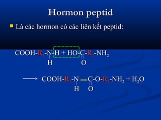 Hormon peptidHormon peptid
 Là các hormon có các liên kết peptid:Là các hormon có các liên kết peptid:
COOH-COOH-RR11-N-H + HO-C--N-H + HO-C-RR22-NH-NH22
H OH O
COOH-COOH-RR11-N C-O--N C-O-RR22-NH-NH22 + H+ H22OO
H OH O
 