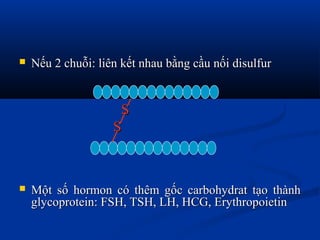  Nếu 2 chuỗi: liên kết nhau bằng cầu nối disulfurNếu 2 chuỗi: liên kết nhau bằng cầu nối disulfur
SS
SS
 Một số hormon có thêm gốc carbohydrat tạo thànhMột số hormon có thêm gốc carbohydrat tạo thành
glycoprotein: FSH, TSH, LH, HCG, Erythropoietinglycoprotein: FSH, TSH, LH, HCG, Erythropoietin
 