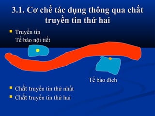 3.1. Cơ chế tác dụng thông qua chất3.1. Cơ chế tác dụng thông qua chất
truyền tin thứ haitruyền tin thứ hai
 Truyền tinTruyền tin
Tế bào nội tiếtTế bào nội tiết
Tế bào đíchTế bào đích
 ChChất tất truyền tin thứ nhấtruyền tin thứ nhất
 ChChất tất truyền tin thứ hairuyền tin thứ hai
 