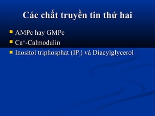 Các chất truyền tin thứ haiCác chất truyền tin thứ hai
 AMPc hay GMPcAMPc hay GMPc
 CaCa++++
-Calmodulin-Calmodulin
 Inositol triphosphat (IPInositol triphosphat (IP33) và Diacylglycerol) và Diacylglycerol
 
