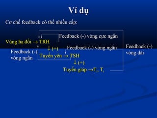 Ví dụVí dụ
Cơ chế feedback có thể nhiều cấp:Cơ chế feedback có thể nhiều cấp:
Vùng hạ đồiVùng hạ đồi →→ TRHTRH
↓↓ (+)(+)
Tuyến yênTuyến yên →→ TSHTSH
↓↓ (+)(+)
Tuyến giápTuyến giáp →→TT33, T, T44
Feedback (-) vòng ngắnFeedback (-) vòng ngắn Feedback (-)Feedback (-)
vòng dàivòng dàiFeedback (-)Feedback (-)
vòng ngắnvòng ngắn
Feedback (-) vòng cực ngắnFeedback (-) vòng cực ngắn
 