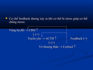  Cơ chế feedback dương xảy ra khi cơ thể bị stress giúp cơ thểCơ chế feedback dương xảy ra khi cơ thể bị stress giúp cơ thể
chống stress:chống stress:
Vùng hạ đồiVùng hạ đồi →→ CRHCRH ↑↑
↓↓ (+)(+)
Tuyến yênTuyến yên →→ ACTHACTH ↑↑ Feedback (+)Feedback (+)
↓↓ (+)(+)
Vỏ thượng thậnVỏ thượng thận →→ CortisolCortisol ↑↑
 