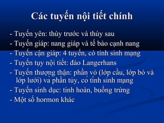 Các tuyến nội tiết chínhCác tuyến nội tiết chính
- Tuyến yên: thùy trước và thùy sau- Tuyến yên: thùy trước và thùy sau
- Tuyến giáp: nang giáp và tế bào cạnh nang- Tuyến giáp: nang giáp và tế bào cạnh nang
- Tuyến cận giáp: 4 tuyến, có tính sinh mạng- Tuyến cận giáp: 4 tuyến, có tính sinh mạng
- Tuyến tụy nội tiết: đảo Langerhans- Tuyến tụy nội tiết: đảo Langerhans
- Tuyến thượng thận: phần vỏ (lớp cầu, lớp bó và- Tuyến thượng thận: phần vỏ (lớp cầu, lớp bó và
lớp lưới) và phần tủy, có tính sinh mạnglớp lưới) và phần tủy, có tính sinh mạng
- Tuyến sinh dục: tinh hoàn, buống trứng- Tuyến sinh dục: tinh hoàn, buống trứng
- Một số hormon khác- Một số hormon khác
 