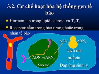 3.2. Cơ chế hoạt hóa hệ thống gen tế3.2. Cơ chế hoạt hóa hệ thống gen tế
bàobào
 Hormon tan trong lipid: steroid và THorm...