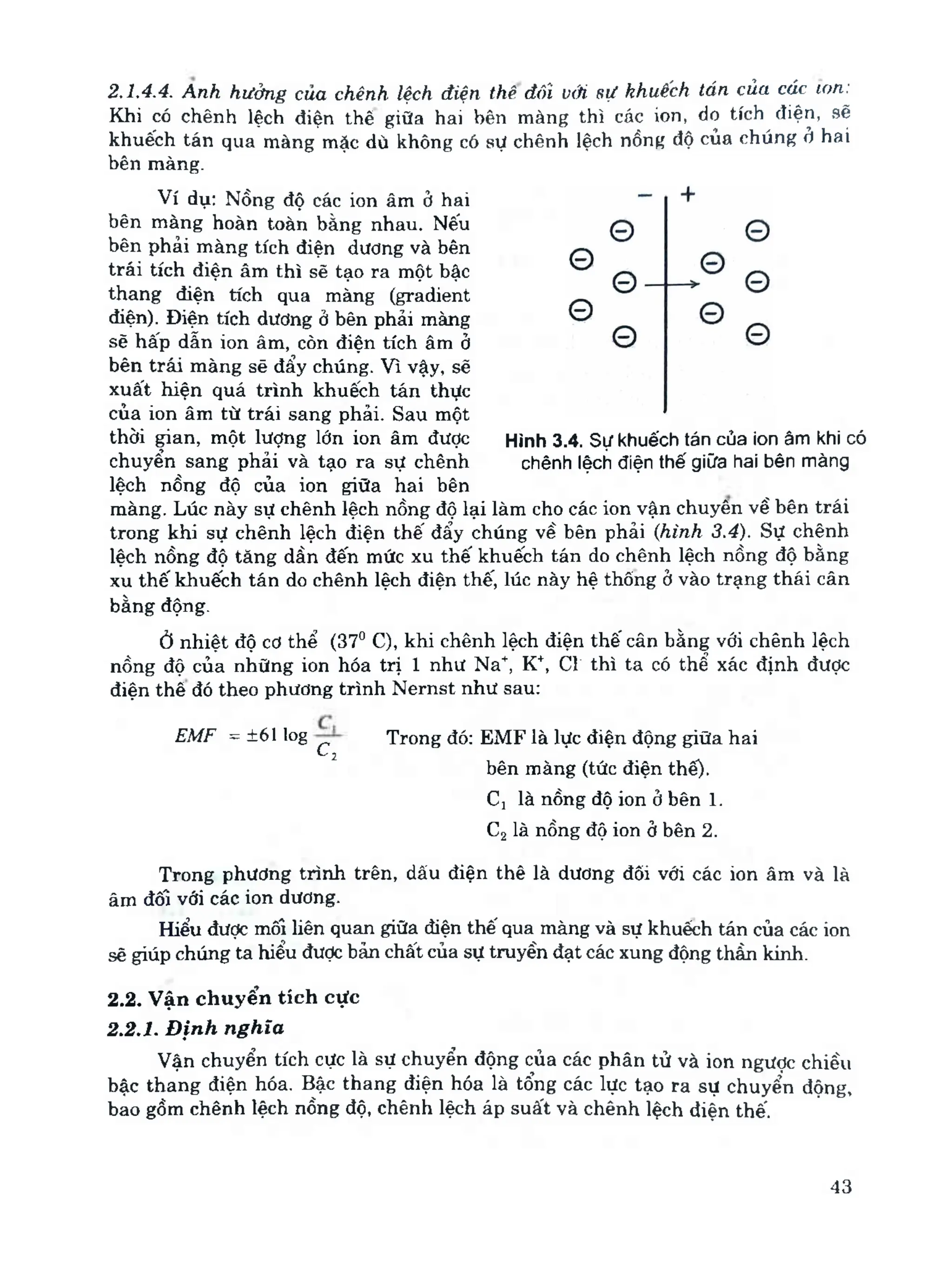 Sinh Lý Y Khoa Bản 2019 Y Hà Nội Pdf