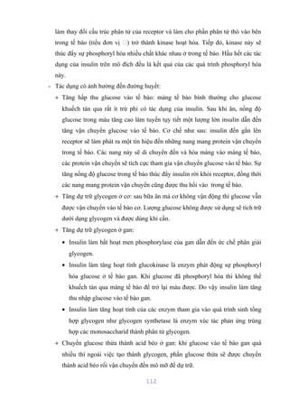 làm thay đổi cấu trúc phân tử của receptor và làm cho phần phân tử thò vào bên 
trong tế bào (tiểu đơn vị ) trở thành kinase hoạt hóa. Tiếp đó, kinase này sẽ 
thúc đẩy sự phosphoryl hóa nhiều chất khác nhau ở trong tế bào. Hầu hết các tác 
dụng của insulin trên mô đích đều là kết quả của các quá trình phosphoryl hóa 
này. 
- Tác dụng có ảnh hưởng đến đường huyết: 
+ Tăng hấp thu glucose vào tế bào: màng tế bào bình thường cho glucose 
khuếch tán qua rất ít trừ phi có tác dụng của insulin. Sau khi ăn, nồng độ 
glucose trong máu tăng cao làm tuyến tụy tiết một lượng lớn insulin dẫn đến 
tăng vận chuyển glucose vào tế bào. Cơ chế như sau: insulin đến gắn lên 
receptor sẽ làm phát ra một tín hiệu đến những nang mang protein vận chuyển 
trong tế bào. Các nang này sẽ di chuyển đến và hòa màng vào màng tế bào, 
các protein vận chuyển sẽ tích cực tham gia vận chuyển glucose vào tế bào. Sự 
tăng nồng độ glucose trong tế bào thúc đẩy insulin rời khỏi receptor, đồng thời 
các nang mang protein vận chuyển cũng được thu hồi vào trong tế bào. 
+ Tăng dự trữ glycogen ở cơ: sau bữa ăn mà cơ không vận động thì glucose vẫn 
được vận chuyển vào tế bào cơ. Lượng glucose không được sử dụng sẽ tích trữ 
dưới dạng glycogen và được dùng khi cần. 
+ Tăng dự trữ glycogen ở gan: 
· Insulin làm bất hoạt men phosphorylase của gan dẫn đến ức chế phân giải 
glycogen. 
· Insulin làm tăng hoạt tính glucokinase là enzym phát động sự phosphoryl 
hóa glucose ở tế bào gan. Khi glucose đã phosphoryl hóa thì không thể 
khuếch tán qua màng tế bào để trở lại máu được. Do vậy insulin làm tăng 
thu nhập glucose vào tế bào gan. 
· Insulin làm tăng hoạt tính của các enzym tham gia vào quá trình sinh tổng 
hợp glycogen như glycogen synthetase là enzym xúc tác phản ứng trùng 
hợp các monosaccharid thành phân tử glycogen. 
+ Chuyển glucose thừa thành acid béo ở gan: khi glucose vào tế bào gan quá 
nhiều thì ngoài việc tạo thành glycogen, phần glucose thừa sẽ được chuyển 
thành acid béo rồi vận chuyển đến mô mỡ để dự trữ. 
112 
 