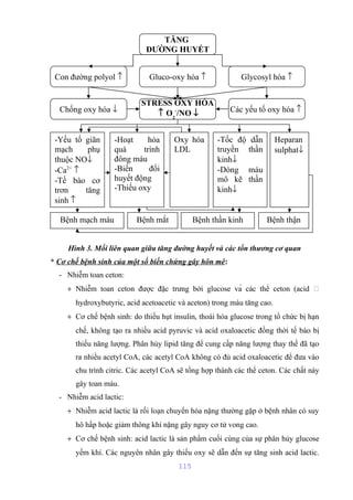 TĂNG 
ĐƯỜNG HUYẾT 
Con đường polyol ­ Gluco-oxy hóa ­ Glycosyl hóa ­ 
Hình 3. Mối liên quan giữa tăng đường huyết và các tổn thương cơ quan 
* Cơ chế bệnh sinh của một số biến chứng gây hôn mê: 
- Nhiễm toan ceton: 
+ Nhiễm toan ceton được đặc trưng bởi glucose và các thể ceton (acid  
hydroxybutyric, acid acetoacetic và aceton) trong máu tăng cao. 
+ Cơ chế bệnh sinh: do thiếu hụt insulin, thoái hóa glucose trong tổ chức bị hạn 
chế, không tạo ra nhiều acid pyruvic và acid oxaloacetic đồng thời tế bào bị 
thiếu năng lượng. Phân hủy lipid tăng để cung cấp năng lượng thay thế đã tạo 
ra nhiều acetyl CoA, các acetyl CoA không có đủ acid oxaloacetic để đưa vào 
chu trình citric. Các acetyl CoA sẽ tổng hợp thành các thể ceton. Các chất này 
gây toan máu. 
- Nhiễm acid lactic: 
+ Nhiễm acid lactic là rối loạn chuyển hóa nặng thường gặp ở bệnh nhân có suy 
hô hấp hoặc giảm thông khí nặng gây nguy cơ tử vong cao. 
+ Cơ chế bệnh sinh: acid lactic là sản phẩm cuối cùng của sự phân hủy glucose 
yếm khí. Các nguyên nhân gây thiếu oxy sẽ dẫn đến sự tăng sinh acid lactic. 
115 
Chống oxy hóa ¯ 
STRESS OXY HÓA 
­ O2 
-/NO ¯ Các yếu tố oxy hóa ­ 
-Yếu tố giãn 
mạch phụ 
thuộc NO¯ 
-Ca2+ ­ 
-Tế bào cơ 
trơn tăng 
sinh ­ 
-Hoạt hóa 
quá trình 
đông máu 
-Biến đổi 
huyết động 
-Thiếu oxy 
Oxy hóa 
LDL 
-Tốc độ dẫn 
truyền thần 
kinh¯ 
-Dòng máu 
mô kẽ thần 
kinh¯ 
Heparan 
sulphat¯ 
Bệnh mạch máu Bệnh mắt Bệnh thần kinh Bệnh thận 
 