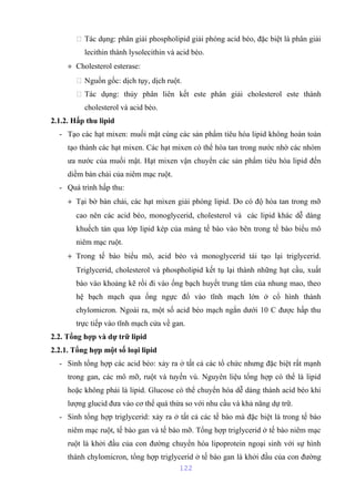 Tác dụng: phân giải phospholipid giải phóng acid béo, đặc biệt là phân giải 
lecithin thành lysolecithin và acid béo. 
+ Cholesterol esterase: 
 Nguồn gốc: dịch tụy, dịch ruột. 
 Tác dụng: thủy phân liên kết este phân giải cholesterol este thành 
cholesterol và acid béo. 
2.1.2. Hấp thu lipid 
- Tạo các hạt mixen: muối mật cùng các sản phẩm tiêu hóa lipid không hoàn toàn 
tạo thành các hạt mixen. Các hạt mixen có thể hòa tan trong nước nhờ các nhóm 
ưa nước của muối mật. Hạt mixen vận chuyển các sản phẩm tiêu hóa lipid đến 
diềm bàn chải của niêm mạc ruột. 
- Quá trình hấp thu: 
+ Tại bờ bàn chải, các hạt mixen giải phóng lipid. Do có độ hòa tan trong mỡ 
cao nên các acid béo, monoglycerid, cholesterol và các lipid khác dễ dàng 
khuếch tán qua lớp lipid kép của màng tế bào vào bên trong tế bào biểu mô 
niêm mạc ruột. 
+ Trong tế bào biểu mô, acid béo và monoglycerid tái tạo lại triglycerid. 
Triglycerid, cholesterol và phospholipid kết tụ lại thành những hạt cầu, xuất 
bào vào khoảng kẽ rồi đi vào ống bạch huyết trung tâm của nhung mao, theo 
hệ bạch mạch qua ống ngực đổ vào tĩnh mạch lớn ở cổ hình thành 
chylomicron. Ngoài ra, một số acid béo mạch ngắn dưới 10 C được hấp thu 
trực tiếp vào tĩnh mạch cửa về gan. 
2.2. Tổng hợp và dự trữ lipid 
2.2.1. Tổng hợp một số loại lipid 
- Sinh tổng hợp các acid béo: xảy ra ở tất cả các tổ chức nhưng đặc biệt rất mạnh 
trong gan, các mô mỡ, ruột và tuyến vú. Nguyên liệu tổng hợp có thể là lipid 
hoặc không phải là lipid. Glucose có thể chuyển hóa dễ dàng thành acid béo khi 
lượng glucid đưa vào cơ thể quá thừa so với nhu cầu và khả năng dự trữ. 
- Sinh tổng hợp triglycerid: xảy ra ở tất cả các tế bào mà đặc biệt là trong tế bào 
niêm mạc ruột, tế bào gan và tế bào mỡ. Tổng hợp triglycerid ở tế bào niêm mạc 
ruột là khởi đầu của con đường chuyển hóa lipoprotein ngoại sinh với sự hình 
thành chylomicron, tổng hợp triglycerid ở tế bào gan là khởi đầu của con đường 
122 
 