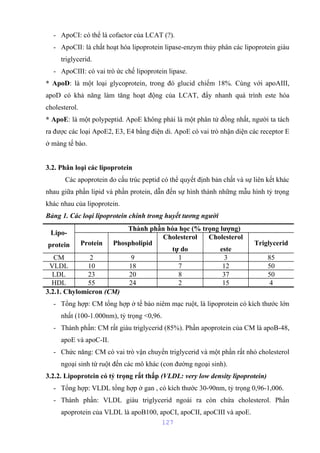 - ApoCI: có thể là cofactor của LCAT (?). 
- ApoCII: là chất hoạt hóa lipoprotein lipase-enzym thủy phân các lipoprotein giàu 
triglycerid. 
- ApoCIII: có vai trò ức chế lipoprotein lipase. 
* ApoD: là một loại glycoprotein, trong đó glucid chiếm 18%. Cùng với apoAIII, 
apoD có khả năng làm tăng hoạt động của LCAT, đẩy nhanh quá trình este hóa 
cholesterol. 
* ApoE: là một polypeptid. ApoE không phải là một phân tử đồng nhất, người ta tách 
ra được các loại ApoE2, E3, E4 bằng điện di. ApoE có vai trò nhận diện các receptor E 
ở màng tế bào. 
3.2. Phân loại các lipoprotein 
Các apoprotein do cấu trúc peptid có thể quyết định bản chất và sự liên kết khác 
nhau giữa phần lipid và phần protein, dẫn đến sự hình thành những mẫu hình tỷ trọng 
khác nhau của lipoprotein. 
Bảng 1. Các loại lipoprotein chính trong huyết tương người 
Lipo-protein 
Thành phần hóa học (% trọng lượng) 
Protein Phospholipid 
Cholesterol 
tự do 
Cholesterol 
este 
Triglycerid 
CM 2 9 1 3 85 
VLDL 10 18 7 12 50 
LDL 23 20 8 37 50 
HDL 55 24 2 15 4 
3.2.1. Chylomicron (CM) 
- Tổng hợp: CM tổng hợp ở tế bào niêm mạc ruột, là lipoprotein có kích thước lớn 
nhất (100-1.000nm), tỷ trọng <0,96. 
- Thành phần: CM rất giàu triglycerid (85%). Phần apoprotein của CM là apoB-48, 
apoE và apoC-II. 
- Chức năng: CM có vai trò vận chuyển triglycerid và một phần rất nhỏ cholesterol 
ngoại sinh từ ruột đến các mô khác (con đường ngoại sinh). 
3.2.2. Lipoprotein có tỷ trọng rất thấp (VLDL: very low density lipoprotein) 
- Tổng hợp: VLDL tổng hợp ở gan , có kích thước 30-90nm, tỷ trọng 0,96-1,006. 
- Thành phần: VLDL giàu triglycerid ngoài ra còn chứa cholesterol. Phần 
apoprotein của VLDL là apoB100, apoCI, apoCII, apoCIII và apoE. 
127 
 