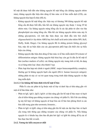 bề mặt đã được biết đến như kháng nguyên bề mặt hồng cầu (kháng nguyên nhóm 
máu), kháng nguyên đặc hiệu đơn dòng tế bào máu và tế bào miễn dịch (CD), các 
kháng nguyên hòa hợp tổ chức (HLA). 
- Kháng nguyên bề mặt hồng cầu: hiện nay có khoảng 300 kháng nguyên bề mặt 
hồng cầu đã được biết đến, hầu hết các kháng nguyên này thuộc 1 trong 29 hệ 
nhóm máu. Các kháng nguyên màng hồng cầu là các đại phân tử cắm vào lớp 
phospholipid của màng hồng cầu. Hầu hết các kháng nguyên nhóm máu này là 
những glycoprotein, với tính đặc hiệu được xác định đầu tiên bởi chuỗi 
oligosaccharid (ví dụ nhóm ABO) hay bởi chuỗi acid amin (như nhóm MN, Kell, 
Duffy, Kidd, Diego). Các kháng nguyên Rh là những protein không glycosyl 
hóa, mặc dù sự hiện diện của các glycoprotein phối hợp cần thiết cho sự biểu 
hiện của chúng. 
- Kháng nguyên đặc hiệu đơn dòng tế bào máu và tế bào miễn dịch-CD (cluster of 
differentiation antigen: kháng nguyên biệt hóa) hay còn gọi là dấu ấn bề mặt tế 
bào (surface markers of cells): các kháng nguyên này mang tính cá thể, đa dạng 
và có hàng trăm loại được chia thành 5 typ. 
- Phức hợp hòa hợp mô chính ở người (MHC: major histocompatibility complex), 
thường gọi là kháng nguyên bạch cầu người (HLA: human leucocyte antigen): 
những phân tử này có vai trò quan trọng trong trình diện kháng nguyên và đáp 
ứng miễn dịch. 
2.4.1.2. Các kháng thể bám dính trên bề mặt tế bào 
Phần Fc của các phân tử Ig thuộc một số lớp và dưới lớp có khả năng gắn với 
một số tế bào khác như: 
- Phân tử IgE, IgG1, IgG3, IgG4: có khả năng gắn lên bề mặt tế bào mast và bạch 
cầu ái kiềm thông qua những receptor của chúng với phần Fc. Khi Fab của những 
Ig này kết hợp với kháng nguyên sẽ hoạt hóa các tế bào làm phóng thích ra các 
hóa chất trung gian như serotonin, histamin... 
- Phân tử IgG và IgM: cũng có khả năng gắn lên bề mặt các đại thực bào và bạch 
cầu trung tính thông qua những receptor của chúng với phần Fc. Nếu kháng 
nguyên là vi khuẩn hay đơn bào đã phủ bởi IgG và IgM thì chúng dễ bị các tế 
bào thực bào bắt và nuốt. 
2.4.2. Tương tác kiểu enzym-cơ chất 
11 
 