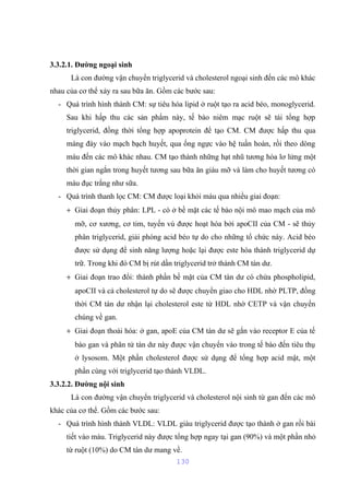 3.3.2.1. Đường ngoại sinh 
Là con đường vận chuyển triglycerid và cholesterol ngoại sinh đến các mô khác 
nhau của cơ thể xảy ra sau bữa ăn. Gồm các bước sau: 
- Quá trình hình thành CM: sự tiêu hóa lipid ở ruột tạo ra acid béo, monoglycerid. 
Sau khi hấp thu các sản phẩm này, tế bào niêm mạc ruột sẽ tái tổng hợp 
triglycerid, đồng thời tổng hợp apoprotein để tạo CM. CM được hấp thu qua 
màng đáy vào mạch bạch huyết, qua ống ngực vào hệ tuần hoàn, rồi theo dòng 
máu đến các mô khác nhau. CM tạo thành những hạt nhũ tương hóa lơ lửng một 
thời gian ngắn trong huyết tương sau bữa ăn giàu mỡ và làm cho huyết tương có 
màu đục trắng như sữa. 
- Quá trình thanh lọc CM: CM được loại khỏi máu qua nhiều giai đoạn: 
+ Giai đoạn thủy phân: LPL - có ở bề mặt các tế bào nội mô mao mạch của mô 
mỡ, cơ xương, cơ tim, tuyến vú được hoạt hóa bởi apoCII của CM - sẽ thủy 
phân triglycerid, giải phóng acid béo tự do cho những tổ chức này. Acid béo 
được sử dụng để sinh năng lượng hoặc lại được este hóa thành triglycerid dự 
trữ. Trong khi đó CM bị rút dần triglycerid trở thành CM tàn dư. 
+ Giai đoạn trao đổi: thành phần bề mặt của CM tàn dư có chứa phospholipid, 
apoCII và cả cholesterol tự do sẽ được chuyển giao cho HDL nhờ PLTP, đồng 
thời CM tàn dư nhận lại cholesterol este từ HDL nhờ CETP và vận chuyển 
chúng về gan. 
+ Giai đoạn thoái hóa: ở gan, apoE của CM tàn dư sẽ gắn vào receptor E của tế 
bào gan và phân tử tàn dư này được vận chuyển vào trong tế bào đến tiêu thụ 
ở lysosom. Một phần cholesterol được sử dụng để tổng hợp acid mật, một 
phần cùng với triglycerid tạo thành VLDL. 
3.3.2.2. Đường nội sinh 
Là con đường vận chuyển triglycerid và cholesterol nội sinh từ gan đến các mô 
khác của cơ thể. Gồm các bước sau: 
- Quá trình hình thành VLDL: VLDL giàu triglycerid được tạo thành ở gan rồi bài 
tiết vào máu. Triglycerid này được tổng hợp ngay tại gan (90%) và một phần nhỏ 
từ ruột (10%) do CM tàn dư mang về. 
130 
 