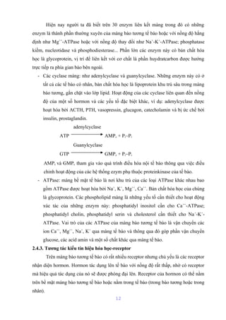 Hiện nay người ta đã biết trên 30 enzym liên kết màng trong đó có những 
enzym là thành phần thường xuyên của màng bào tương tế bào hoặc với nồng độ hằng 
định như Mg++-ATPase hoặc với nồng độ thay đổi như Na+-K+-ATPase; phosphatase 
kiềm, nucleotidase và phosphodiesterase... Phần lớn các enzym này có bản chất hóa 
học là glycoprotein, vị trí để liên kết với cơ chất là phần huydratcarbon được hướng 
trực tiếp ra phía gian bào bên ngoài. 
- Các cyclase màng: như adenylcyclase và guanylcyclase. Những enzym này có ở 
tất cả các tế bào có nhân, bản chất hóa học là lipoprotein khu trú sâu trong màng 
bào tương, gắn chặt vào lớp lipid. Hoạt động của các cyclase liên quan đến nồng 
độ của một số hormon và các yếu tố đặc biệt khác, ví dụ: adenylcyclase được 
hoạt hóa bởi ACTH, PTH, vasopressin, glucagon, catecholamin và bị ức chế bởi 
insulin, prostaglandin. 
adenylcyclase 
ATP AMPc + Pi~Pi 
Guanylcyclase 
GTP GMPc + Pi~Pi 
AMPc và GMPc tham gia vào quá trình điều hòa nội tế bào thông qua việc điều 
chỉnh hoạt động của các hệ thống ezym phụ thuộc proteinkinase của tế bào. 
- ATPase: màng bề mặt tế bào là nơi khu trú của các loại ATPase khác nhau bao 
gồm ATPase được hoạt hóa bởi Na+, K+, Mg++, Ca++. Bản chất hóa học của chúng 
là glycoprotein. Các phospholipid màng là những yếu tố cần thiết cho hoạt động 
xúc tác của những enzym này: phosphatidyl inositol cần cho Ca++-ATPase; 
phosphatidyl cholin, phosphatidyl serin và cholesterol cần thiết cho Na+-K+- 
ATPase. Vai trò của các ATPase của màng bào tương tế bào là vận chuyển các 
ion Ca++, Mg++, Na+, K+ qua màng tế bào và thông qua đó góp phần vận chuyển 
glucose, các acid amin và một số chất khác qua màng tế bào. 
2.4.3. Tương tác kiểu tín hiệu hóa học-receptor 
Trên màng bào tương tế bào có rất nhiều receptor nhưng chủ yếu là các receptor 
nhận diện hormon. Hormon tác dụng lên tế bào với nồng độ rất thấp, nhờ có receptor 
mà hiệu quả tác dụng của nó sẽ được phóng đại lên. Receptor của hormon có thể nằm 
trên bề mặt màng bào tương tế bào hoặc nằm trong tế bào (trong bào tương hoặc trong 
nhân). 
12 
 