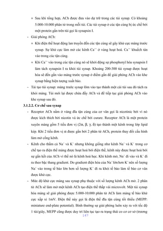 + Sau khi tổng hợp, ACh được đưa vào dự trữ trong các túi synap. Có khoảng 
5.000-10.000 phân tử trong mỗi túi. Các túi synap ở cúc tận cùng bị ức chế bởi 
một protein gắn trên túi gọi là synapsin I. 
- Giải phóng ACh: 
+ Khi điện thế hoạt động lan truyền đến cúc tận cùng sẽ gây khử cực màng trước 
synap. Sự khử cực làm mở các kênh Ca++ ở vùng hoạt hoá. Ca++ khuếch tán 
vào trong cúc tận cùng. 
+ Khi Ca++ vào trong cúc tận cùng nó sẽ khởi động sự phosphoryl hóa synapsin I 
làm tách synapsin I ra khỏi túi synap. Khoảng 200-300 túi synap được hoạt 
hóa sẽ đến gắn vào màng trước synap ở điểm gắn để giải phóng ACh vào khe 
synap bằng hiện tượng xuất bào. 
- Tái tạo túi synap: màng trước synap lõm vào tạo thành một cái túi sau đó tách ra 
khỏi màng. Túi mới lại được chứa đầy ACh và để tiếp tục giải phóng ACh vào 
khe synap sau đó. 
3.1.2.2. Cơ chế sau synap 
- Receptor ACh nằm ở vùng đĩa tận cùng của cơ vân gọi là nicotinic bởi vì nó 
được kích thích bởi nicotin và ức chế bởi curare. Receptor ACh là một protein 
xuyên màng gồm 5 tiểu đơn vị (2a, b, g, d) tạo thành một kênh trong lớp lipid 
kép. Khi 2 tiểu đơn vị a được gắn bởi 2 phân tử ACh, protein thay đổi cấu hình 
làm mở cổng kênh. 
- Kênh cho thấm cả Na+ và K+ nhưng không giống như kênh Na+ và K+ trong cơ 
chế tạo ra điện thế màng được hoạt hoá bởi điện thế, kênh này được hoạt hoá bởi 
sự gắn kết của ACh vì thế nó là kênh hoá học. Khi kênh mở, Na+ đi vào và K+ đi 
ra theo bậc thang gradient. Do gradient điện hóa của Na+ lớn hơn K+ nên số lượng 
Na+ vào trong tế bào lớn hơn số lượng K+ đi ra khỏi tế bào làm tế bào cơ vân 
được khử cực. 
- Mức độ khử cực màng sau synap phụ thuộc với số lượng kênh ACh mở. 2 phân 
tử ACh sẽ làm mở một kênh ACh tạo điện thế thấp vài microvolt. Một túi synap 
hòa màng sẽ giải phóng được 5.000-10.000 phân tử ACh làm màng tế bào khử 
cực xấp xỉ 1mV. Điện thế này gọi là điện thế đĩa tận cùng tối thiểu (MEPP: 
miniature end-plate potential). Bình thường sự giải phóng luôn xảy ra với tốc độ 
1 túi/giây, MEPP cũng được duy trì liên tục tạo ra trạng thái co cơ cơ sở (trương 
147 
 