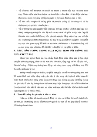 - Về cấu trúc: mỗi receptor có ít nhất hai nhóm là nhóm điều hòa và nhóm hiệu 
ứng. Nhóm điều hòa làm nhiệm vụ nhận biết và liên kết với tín hiệu hóa học 
(hormon), nhóm hiệu ứng có tác dụng gây ra hiệu quả đầu tiên trên tế bào. 
- Về bản chất: receptor là những phân tử protein, chúng có thể đóng vai trò là 
những enzym, protein vận chuyển... 
- Về sự tương tác: các receptor tiếp nhận các tín hiệu hóa học với tính đặc hiệu cao 
do sự tương ứng trong cấu trúc đặc thù của receptor với phân tử đặc hiệu. Ngoài 
tính đặc hiệu ra các tín hiệu này còn gắn với receptor bằng một ái lực cao, nhờ đó 
chỉ có chính phân tử tín hiệu mới có thể duy trì sự gắn kết với receptor. Tính chất 
này đặc biệt quan trọng đối với các receptor của hormon vì hormon thường chỉ 
có mặt trong máu với nồng độ rất thấp và lẫn lộn với các phân tử khác. 
3. MÀNG BÀO TƯƠNG TRONG HOẠT ĐỘNG TRAO ĐỔI THÔNG TIN 
GIỮA CÁC TẾ BÀO 
Màng bào tương tham gia vào nhiều hoạt động chức năng của tế bào như 
chuyển hóa năng lượng, sinh sản và biệt hóa, thực bào, tổng hợp và bài tiết các chất, 
điện thế màng... Một trong những hoạt động chức năng quan trọng nhất là sự trao đổi 
thông tin giữa các tế bào. 
Trong cơ thể động vật đa bào, sự phối hợp giữa các tế bào trong cùng một mô 
để hoàn thành một chức năng hoặc giữa các tế bào trong các loại mô khác nhau để 
hoàn thành nhiều chức năng khác nhau được thực hiện thông qua các hệ thống thông 
tin giữa các tế bào. Sự thông tin có thể được thực hiện thông qua các mối liên kết hở 
(gap junction) giữa các tế bào nằm sát nhau hoặc qua các tín hiệu hóa học (chemical 
signal) giữa các tế bào xa nhau. 
3.1. Trao đổi thông tin giữa các tế bào sát nhau 
Giữa các tế bào kế nhau trong mô động vật như các tế bào biểu mô, thần kinh, 
cơ trơn, cơ tim thường có các cấu trúc được gọi là các liên kết hở giúp các tế bào trao 
đổi thông tin với nhau. 
13 
 