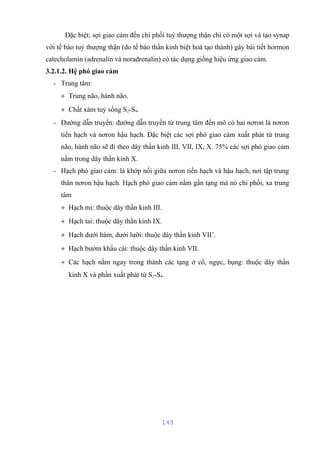 Đặc biệt: sợi giao cảm đến chi phối tuỷ thượng thận chỉ có một sợi và tạo synap 
với tế bào tuỷ thượng thận (do tế bào thần kinh biệt hoá tạo thành) gây bài tiết hormon 
catecholamin (adrenalin và noradrenalin) có tác dụng giống hiệu ứng giao cảm. 
3.2.1.2. Hệ phó giao cảm 
- Trung tâm: 
+ Trung não, hành não. 
+ Chất xám tuỷ sống S2-S4. 
- Đường dẫn truyền: đường dẫn truyền từ trung tâm đến mô có hai nơron là nơron 
tiền hạch và nơron hậu hạch. Đặc biệt các sợi phó giao cảm xuất phát từ trung 
não, hành não sẽ đi theo dây thần kinh III, VII, IX, X. 75% các sợi phó giao cảm 
nằm trong dây thần kinh X. 
- Hạch phó giao cảm: là khớp nối giữa nơron tiền hạch và hậu hạch, nơi tập trung 
thân nơron hậu hạch. Hạch phó giao cảm nằm gần tạng mà nó chi phối, xa trung 
tâm 
+ Hạch mi: thuộc dây thần kinh III. 
+ Hạch tai: thuộc dây thần kinh IX. 
+ Hạch dưới hàm, dưới lưỡi: thuộc dây thần kinh VII’. 
+ Hạch bướm khẩu cái: thuộc dây thần kinh VII. 
+ Các hạch nằm ngay trong thành các tạng ở cổ, ngực, bụng: thuộc dây thần 
kinh X và phần xuất phát từ S2-S4. 
149 
 