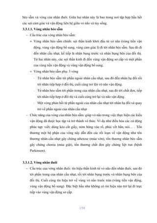 bèo sẫm và vòng của nhân đuôi. Giữa hai nhân này là bao trong nơi tập hợp hầu hết 
các sợi cảm giác và vận động liên hệ giữa vỏ não và tủy sống. 
3.3.1.1. Vòng nhân bèo sẫm 
- Cấu trúc của vòng nhân bèo sẫm: 
+ Vòng nhân bèo sẫm chính: sợi thần kinh khởi đầu từ vỏ não (vùng tiền vận 
động, vùng vận động bổ sung, vùng cảm giác I) đi tới nhân bèo sẫm. Sau đó đi 
đến nhân cầu nhạt, kế tiếp là nhân bụng trước và nhân bụng bên của đồi thị. 
Từ hai nhân này, các sợi thần kinh đi đến vùng vận động sơ cấp và một phần 
của vùng tiền vận động và vùng vận động bổ sung. 
+ Vòng nhân bèo sẫm phụ: 3 vòng 
× Từ nhân bèo sẫm tới phần ngoài nhân cầu nhạt, sau đó đến nhân hạ đồi rồi 
tới nhân tiêp hợp ở đồi thị, cuối cùng trở lên vỏ não vận động. 
× Từ nhân bèo sẫm tới phần trong của nhân cầu nhạt, sau đó tới chất đen, tiếp 
tới nhân tiếp hợp ở đồi thị và cuối cùng trở lại vỏ não vận động. 
× Một vòng phản hồi từ phần ngoài của nhân cầu nhạt tới nhân hạ đồi và quay 
trở về phần ngoài của nhân cầu nhạt 
- Chức năng của vòng của nhân bèo sẫm: giúp vỏ não trong việc thực hiện các kiểu 
vận động đã được học tập và trở thành vô thức. Ví dụ như điều hòa các cử động 
phức tạp: viết, dùng kéo cắt giấy, ném bóng vào rổ, phủi vết bẩn, nói… . Tổn 
thương một bộ phận của vòng này dẫn đến các rối loạn về vận động như tổn 
thương nhân cầu nhạt gây chứng athetose (múa vờn), tổn thương nhân bèo sẫm 
gây chứng chorea (múa giật), tổn thương chất đen gây chứng liệt run (bệnh 
Parkinson). 
3.3.1.2. Vòng nhân đuôi 
- Cấu trúc của vòng nhân đuôi: tín hiệu thần kinh từ vỏ não đến nhân đuôi, sau đó 
tới phần trong của nhân cầu nhạt, rồi tới nhân bụng trước và nhân bụng bên của 
đồi thị. Cuối cùng tín hiệu trở về vùng vỏ não trước trán (vùng tiền vận động, 
vùng vận động bổ sung). Đặc biệt hầu như không có tín hiệu nào trở lại đi trực 
tiếp vào vùng vận động sơ cấp. 
156 
 