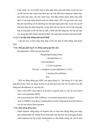 - Chức năng: với vị trí chiến lược là nằm giữa dòng máu tuần hoàn và các mô của 
cơ thể, lớp nội mạc mạch máu tham gia vào việc điều hòa trương lực mạch máu, 
quá trình cầm máu, cấu trúc mạch máu, tính thấm thành mạch, phản ứng miễn 
dịch và các hoạt động chuyển hóa của thành mạch. Đối với quá trình cầm máu, 
lớp nội mạc không chỉ là một hàng rào đơn giản ngăn giữa máu và các mô, tạo bề 
mặt trơn láng che phủ màng đáy và lớp dưới nội mô mà nó còn có khả năng đặc 
biệt là tổng hợp và bài tiết một số chất. Chính nhờ khả năng này mà lớp nội mạc 
vừa mang đặc tính chống sinh huyết khối vừa mang đặc tính tiền sinh huyết khối. 
1.1.1.1. Các đặc tính chống sinh huyết khối 
Lớp nội mạc có khả năng tổng hợp và bài tiết một số chất chống sinh huyết 
khối. 
* Các chất gây giãn mạch và chống ngưng tập tiểu cầu: 
- Prostaglandin I2 (PGI2 hay prostacyclin): 
Phospholipid (màng tế bào) 
¯ phospholipase A2 
Acid arachidonic 
¯ Cyclo-oxygenase 
Tiểu cầu ® Endoperoxyt (prostaglandin G2 và H2) 
¯ prostacyclin-synthetase 
PGI2 
PGI2 tác động thông qua AMPc làm giảm lượng Ca++ bào tương và vì vậy giảm 
hoạt hóa tế bào. PGI2 tác động rất khu trú do thời gian bán hủy chỉ vài phút và bị đối 
kháng bởi thromboxan A2 của tiểu cầu. 
- Nitric oxid (NO): tổng hợp từ acid amin L-arginin dưới sự xúc tác của enzym 
nitric oxid synthetase (NOS) 
- Các enzym thoái hóa ADP (ADPase) và serotonin (monoamin oxydase) 
- Acid 13 HODE (13-hydroxy-octadecadienoic acid): tổng hợp từ acid béo dưới sự 
xúc tác của enzym lipooxygenase. 
* Các chất chống đông máu: 
- Sulfat heparan: đồng dạng với heparin nên có hoạt tính chống đông qua trung 
gian antithrombin III. Màng tế bào trình diện một lớp mịn các proteoglycan giàu 
sulfat heparan trên đó có gắn antithrombin ức chế nhanh chóng các yếu tố hoạt 
26 
 