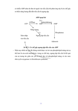 có nhiều ADP (như do đưa từ ngoài vào tiểu cầu) thì phản ứng này bị ức chế gây 
ra thiếu năng lượng dẫn đến tiểu cầu bị ngưng tập. 
ADP ngoại lai 
¯(-) 
ATPase Adenylakinase 
ATP ADP AMP 
Năng lượng 
(-) Phosphatase 
Xâm nhập Ngưng tập tiểu cầu 
vào tiểu cầu 
Adenosin 
Sơ đồ 1. Cơ chế gây ngưng tập tiểu cầu của ADP 
- Hiện nay nhiều tác giả đã chứng minh được vai trò của phospholipid màng mà cụ 
thể hơn là của acid arachidonic: trong cơ chế này, ngưng tập tiểu cầu là kết quả 
của sự tương tác giữa các yếu tố kích tập với phospholipid màng và các men 
như:cyclo-oxygenase và thromboxan synthetase 
33 
 