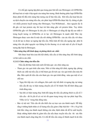 Cơ chế gây ngưng tập phải qua trung gian liên kết của fibrinogen với GPIIb/IIIa 
đã hoạt hoá có mặt ở lớp ngoài của màng bào tương. Bình thường phức hợp GPIIb/IIIa 
được phân bố đều trên màng bào tương của tế bào tiểu cầu. Khi tiểu cầu hoạt hóa do 
sự dịch chuyển của màng tiểu cầu, các phức hợp GPIIb/IIIa được bộc lộ, chúng sẽ gắn 
với nhiều protein huyết tương như fibrinogen, Von-Willebrand… theo nguyên tắc là 
đã gắn với loại protein này thì loại trừ khả năng gắn với protein khác. Tuy nhiên 
GPIIb/IIIa gắn với fibrinogen là chủ yếu vì fibrinogen có nồng độ tập độ cao nhất ở 
trong huyết tương và GPIIb/IIIa có ái lực với fibrinogen là mạnh nhất Như vậy 
fibrinogen được xem như là một cầu nối những GPIIb/IIIa của các tiểu cầu với nhau 
và do đó tạo ra được sự ngưng tập tiểu cầu. Điều kiện để tiểu cầu ngưng tập phải là 
màng tiểu cầu phải nguyên vẹn không bị tổn thương và có mặt một số yếu tố huyết 
tương đặc biệt là fibrinogen. 
* Khả năng thay đổi hình dạng và phóng thích các chất: 
Khi được hoạt hóa (sau khi kết dính), tiểu cầu có khả năng thay đổi hình dạng 
và bài xuất ra các chất. 
1.2.1.5. Chức năng của tiểu cầu 
Tiểu cầu đã thực hiện một cách rất hiệu quả các chức năng sau 
- Tham gia vào quá trình cầm máu: Nhờ có khả năng kết dính, ngưng tập, phóng 
thích các chất mà tiểu cầu có thể tham gia rất tích cực vào quá trình cầm máu thì 
đầu. Bên cạnh đó tiểu cầu còn tham gia vào quá trình đông máu qua một số cơ 
chế sau: 
+ Ngay khi tiếp xúc với collagen, bên cạnh việc kết dính và ngưng tập, tại màng 
tiểu cầu đã xảy ra hiện tượng chuyển yếu tố XI thành XIa để khởi động quá 
trình đông máu. 
+ Sau khi có hiện tượng thay hình đổi dạng thì tiểu cầu phóng thích ra yếu tố 3 
tiểu cầu - đó là yếu tố có vai trò rất quan trọng trong việc tạo phức hợp IXa, 
VIIIa và Ca++ trong thác đông máu. 
- Bảo vệ nội mô: Tiểu cầu rất cần thiết cho sự trọn vẹn của thành mạch. Dễ thấy 
rằng ở những bệnh nhân có số lượng tiểu cầu giảm ( Đặc biệt khi < 50 x 10 g/l thì 
tính bền vững của thành mạch không còn nữa, bệnh nhân rất dễ bị xuất huyết). 
Hoặc những bệnh nhân bị giảm tiểu cầu nếu được truyền tiểu cầu thì sức bền 
của thành mạch cũng tăng lên. Cơ chế để tiểu cầu củng cố thành mạch là do tiểu 
35 
 