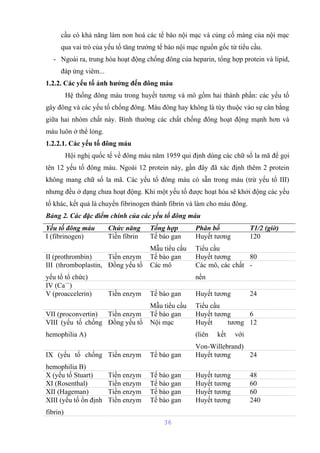 cầu có khả năng làm non hoá các tế bào nội mạc và củng cố màng của nội mạc 
qua vai trò của yếu tố tăng trưởng tế bào nội mạc nguồn gốc từ tiểu cầu. 
- Ngoài ra, trung hòa hoạt động chống đông của heparin, tổng hợp protein và lipid, 
đáp ứng viêm... 
1.2.2. Các yếu tố ảnh hưởng đến đông máu 
Hệ thống đông máu trong huyết tương và mô gồm hai thành phần: các yếu tố 
gây đông và các yếu tố chống đông. Máu đông hay không là tùy thuộc vào sự cân bằng 
giữa hai nhóm chất này. Bình thường các chất chống đông hoạt động mạnh hơn và 
máu luôn ở thể lỏng. 
1.2.2.1. Các yếu tố đông máu 
Hội nghị quốc tế về đông máu năm 1959 qui định dùng các chữ số la mã để gọi 
tên 12 yếu tố đông máu. Ngoài 12 protein này, gần đây đã xác định thêm 2 protein 
không mang chữ số la mã. Các yếu tố đông máu có sẵn trong máu (trừ yếu tố III) 
nhưng đều ở dạng chưa hoạt động. Khi một yếu tố được hoạt hóa sẽ khởi động các yếu 
tố khác, kết quả là chuyển fibrinogen thành fibrin và làm cho máu đông. 
Bảng 2. Các đặc điểm chính của các yếu tố đông máu 
Yếu tố đông máu Chức năng Tổng hợp Phân bố T1/2 (giờ) 
I (fibrinogen) Tiền fibrin Tế bào gan 
Mẫu tiểu cầu 
Huyết tương 
Tiểu cầu 
120 
II (prothrombin) Tiền enzym Tế bào gan Huyết tương 80 
III (thromboplastin, 
Đồng yếu tố Các mô Các mô, các chất 
- 
yếu tố tổ chức) 
nền 
IV (Ca++) 
V (proaccelerin) Tiền enzym Tế bào gan 
Mẫu tiểu cầu 
Huyết tương 
Tiểu cầu 
24 
VII (proconvertin) Tiền enzym Tế bào gan Huyết tương 6 
VIII (yếu tố chống 
Đồng yếu tố Nội mạc Huyết tương 
hemophilia A) 
(liên kết với 
Von-Willebrand) 
12 
IX (yếu tố chống 
hemophilia B) 
Tiền enzym Tế bào gan Huyết tương 24 
X (yếu tố Stuart) Tiền enzym Tế bào gan Huyết tương 48 
XI (Rosenthal) Tiền enzym Tế bào gan Huyết tương 60 
XII (Hageman) Tiền enzym Tế bào gan Huyết tương 60 
XIII (yếu tố ổn định 
fibrin) 
Tiền enzym Tế bào gan Huyết tương 240 
36 
 