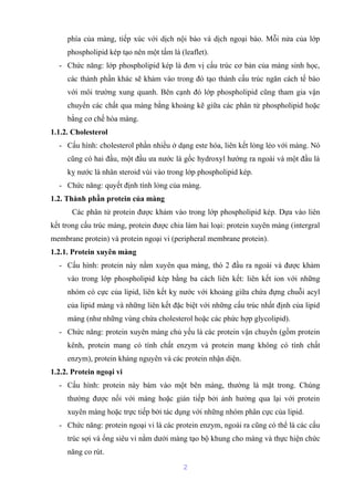 phía của màng, tiếp xúc với dịch nội bào và dịch ngoại bào. Mỗi nửa của lớp 
phospholipid kép tạo nên một tấm lá (leaflet). 
- Chức năng: lớp phospholipid kép là đơn vị cấu trúc cơ bản của màng sinh học, 
các thành phần khác sẽ khảm vào trong đó tạo thành cấu trúc ngăn cách tế bào 
với môi trường xung quanh. Bên cạnh đó lớp phospholipid cũng tham gia vận 
chuyển các chất qua màng bằng khoảng kẽ giữa các phân tử phospholipid hoặc 
bằng cơ chế hòa màng. 
1.1.2. Cholesterol 
- Cấu hình: cholesterol phần nhiều ở dạng este hóa, liên kết lỏng lẻo với màng. Nó 
cũng có hai đầu, một đầu ưa nước là gốc hydroxyl hướng ra ngoài và một đầu là 
kỵ nước là nhân steroid vùi vào trong lớp phospholipid kép. 
- Chức năng: quyết định tính lỏng của màng. 
1.2. Thành phần protein của màng 
Các phân tử protein được khảm vào trong lớp phospholipid kép. Dựa vào liên 
kết trong cấu trúc màng, protein được chia làm hai loại: protein xuyên màng (intergral 
membrane protein) và protein ngoại vi (peripheral membrane protein). 
1.2.1. Protein xuyên màng 
- Cấu hình: protein này nằm xuyên qua màng, thò 2 đầu ra ngoài và được khảm 
vào trong lớp phospholipid kép bằng ba cách liên kết: liên kết ion với những 
nhóm có cực của lipid, liên kết kỵ nước với khoảng giữa chứa đựng chuỗi acyl 
của lipid màng và những liên kết đặc biệt với những cấu trúc nhất định của lipid 
màng (như những vùng chứa cholesterol hoặc các phức hợp glycolipid). 
- Chức năng: protein xuyên màng chủ yếu là các protein vận chuyển (gồm protein 
kênh, protein mang có tính chất enzym và protein mang không có tính chất 
enzym), protein kháng nguyên và các protein nhận diện. 
1.2.2. Protein ngoại vi 
- Cấu hình: protein này bám vào một bên màng, thường là mặt trong. Chúng 
thường được nối với màng hoặc gián tiếp bởi ảnh hưởng qua lại với protein 
xuyên màng hoặc trực tiếp bởi tác dụng với những nhóm phân cực của lipid. 
- Chức năng: protein ngoại vi là các protein enzym, ngoài ra cũng có thể là các cấu 
trúc sợi và ống siêu vi nằm dưới màng tạo bộ khung cho màng và thực hiện chức 
năng co rút. 
2 
 