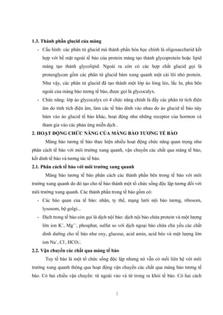 1.3. Thành phần glucid của màng 
- Cấu hình: các phân tử glucid mà thành phần hóa học chính là oligosaccharid kết 
hợp với bề mặt ngoài tế bào của protein màng tạo thành glycoprotein hoặc lipid 
màng tạo thành glycolipid. Ngoài ra còn có các hợp chất glucid gọi là 
proteoglycan gồm các phân tử glucid bám xung quanh một cái lõi nhỏ protein. 
Như vậy, các phân tử glucid đã tạo thành một lớp áo lỏng lẻo, lắc lư, phủ bên 
ngoài của màng bào tương tế bào, được gọi là glycocalyx. 
- Chức năng: lớp áo glycocalyx có 4 chức năng chính là đẩy các phân tử tích điện 
âm do tính tích điện âm, làm các tế bào dính vào nhau do áo glucid tế bào này 
bám vào áo glucid tế bào khác, hoạt động như những receptor của hormon và 
tham gia vào các phản ứng miễn dịch . 
2. HOẠT ĐỘNG CHỨC NĂNG CỦA MÀNG BÀO TƯƠNG TẾ BÀO 
Màng bào tương tế bào thực hiện nhiều hoạt động chức năng quan trọng như 
phân cách tế bào với môi trường xung quanh, vận chuyển các chất qua màng tế bào, 
kết dính tế bào và tương tác tế bào. 
2.1. Phân cách tế bào với môi trường xung quanh 
Màng bào tương tế bào phân cách các thành phần bên trong tế bào với môi 
trường xung quanh do đó tạo cho tế bào thành một tổ chức sống độc lập tương đối với 
môi trường xung quanh. Các thành phần trong tế bào gồm có: 
- Các bào quan của tế bào: nhân, ty thể, mạng lưới nội bào tương, ribosom, 
lysosom, bộ golgi... 
- Dịch trong tế bào còn gọi là dịch nội bào: dịch nội bào chứa protein và một lượng 
lớn ion K+, Mg++, phosphat, sulfat so với dịch ngoại bào chứa chủ yếu các chất 
dinh dưỡng cho tế bào như oxy, glucose, acid amin, acid béo và một lượng lớn 
ion Na+, Cl-, HCO3 
-. 
2.2. Vận chuyển các chất qua màng tế bào 
Tuy tế bào là một tổ chức sống độc lập nhưng nó vẫn có mối liên hệ với môi 
trường xung quanh thông qua hoạt động vận chuyển các chất qua màng bào tương tế 
bào. Có hai chiều vận chuyển: từ ngoài vào và từ trong ra khỏi tế bào. Có hai cách 
3 
 