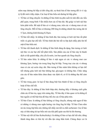 niêm mạc đường hô hấp có đời sống dài, sự thoái hóa tế bào tương đối ít vì vậy 
tỷ lệ đổi mới ở đây chậm. Các loại tế bào biểu mô đường hô hấp gồm: 
+ Tế bào có lông chuyển: là những tế bào hình trụ phủ suốt từ mũi đến các tiểu 
phế quản, trung bình 5 lần nhiều hơn các tế bào đài. Bộ golgi và lưới nội bào 
kém phát triển. Bề mặt tế bào có vi nhung mao, trên các vi nhung mao có các 
lông chuyển. Mỗi tế bào có khoảng 200 lông là những nhánh bào tương dài từ 
5-7mm, đường kính khoảng 0,25mm. 
+ Tế bào tiết nhầy: là những tế bào hình đài, bào tương có lưới nội bào rất phát 
triển và giàu hạt chế tiết. Tế bào hình đài bài tiết ra lớp dịch nhầy phủ lên bề 
mặt tế bào biểu mô. 
+ Tế bào tiết thanh dịch: là những tế bào hình dáng đa dạng, bào tương có lưới 
nội bào và các hạt chế tiết phát triển. Sản phẩm của các tế bào này là thanh 
dịch có độ quánh thấp, chủ yếu là nước, ion bao quanh các lông chuyển. 
+ Tế bào mâm khía: là những tế bào ở mặt ngọn có các vi nhung mao cao 
khoảng 2mm, hướng vào trong lòng ống hô hấp. Trong trục của các vi nhung 
mao có các sợi actin chạy dài. Bào tương tế bào mâm khía không có hạt chế 
tiết nhưng giàu lưới nội bào không hạt, glycogen và không bào. Chức năng 
của các tế bào mâm khía chưa được xác định rõ, có lẽ là những thụ thể cảm 
giác. 
+ Tế bào trung gian: là loại tế bào đang biệt hóa thành tế bào có lông chuyển 
hoặc tế bào chế tiết. 
+ Tế bào đáy: là những tế bào hình tháp nhỏ, thường thấy ở khoảng cách giữa 
chân các tế bào trụ, ngay trên màng đáy. Tế bào đáy ít bào quan và là những tế 
bào nguồn có thể biệt hóa để thay thế cho các tế bào phía trên. 
+ Tế bào Clara: là những tế bào không có lông chuyển, nhưng mặt ngọn tế bào 
có những vi nhung mao ngắn hướng vào lòng ống hô hấp. Tế bào Clara nằm 
rải rác trong lớp biểu mô, không tiết nhầy mà tiết ra chất surfactant. Các tế bào 
này có khả năng tái tạo biểu mô của tiểu phế quản sau khi bị tổn thương. 
+ Tế bào nội tiết (tế bào Kultschitzky): là những tế bào có hạt chế tiết nhỏ, đứng 
thành từng đám và liên hệ với đầu tận cùng thần kinh. Chúng được coi là 
49 
 