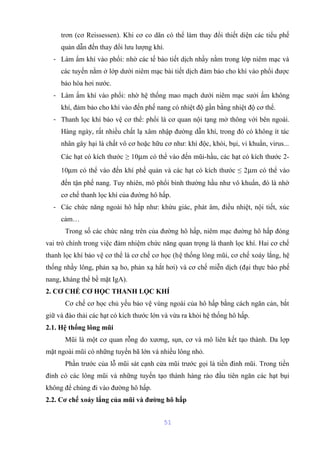trơn (cơ Reissessen). Khi cơ co dãn có thể làm thay đổi thiết diện các tiểu phế 
quản dẫn đến thay đổi lưu lượng khí. 
- Làm ẩm khí vào phổi: nhờ các tế bào tiết dịch nhầy nằm trong lớp niêm mạc và 
các tuyến nằm ở lớp dưới niêm mạc bài tiết dịch đảm bảo cho khí vào phổi được 
bảo hòa hơi nước. 
- Làm ấm khí vào phổi: nhờ hệ thống mao mạch dưới niêm mạc sưởi ấm không 
khí, đảm bảo cho khí vào đến phế nang có nhiệt độ gần bằng nhiệt độ cơ thể. 
- Thanh lọc khí bảo vệ cơ thể: phổi là cơ quan nội tạng mở thông với bên ngoài. 
Hàng ngày, rất nhiều chất lạ xâm nhập đường dẫn khí, trong đó có không ít tác 
nhân gây hại là chất vô cơ hoặc hữu cơ như: khí độc, khói, bụi, vi khuẩn, virus... 
Các hạt có kích thước ≥ 10mm có thể vào đến mũi-hầu, các hạt có kích thước 2- 
10mm có thể vào đến khí phế quản và các hạt có kích thước ≤ 2mm có thể vào 
đến tận phế nang. Tuy nhiên, mô phổi bình thường hầu như vô khuẩn, đó là nhờ 
cơ chế thanh lọc khí của đường hô hấp. 
- Các chức năng ngoài hô hấp như: khứu giác, phát âm, điều nhiệt, nội tiết, xúc 
cảm… 
Trong số các chức năng trên của đường hô hấp, niêm mạc đường hô hấp đóng 
vai trò chính trong việc đảm nhiệm chức năng quan trọng là thanh lọc khí. Hai cơ chế 
thanh lọc khí bảo vệ cơ thể là cơ chế cơ học (hệ thống lông mũi, cơ chế xoáy lắng, hệ 
thống nhầy lông, phản xạ ho, phản xạ hắt hơi) và cơ chế miễn dịch (đại thực bào phế 
nang, kháng thể bề mặt IgA). 
2. CƠ CHẾ CƠ HỌC THANH LỌC KHÍ 
Cơ chế cơ học chủ yếu bảo vệ vùng ngoài của hô hấp bằng cách ngăn cản, bắt 
giữ và đào thải các hạt có kích thước lớn và vừa ra khỏi hệ thống hô hấp. 
2.1. Hệ thống lông mũi 
Mũi là một cơ quan rỗng do xương, sụn, cơ và mô liên kết tạo thành. Da lợp 
mặt ngoài mũi có những tuyến bã lớn và nhiều lông nhỏ. 
Phần trước của lỗ mũi sát cạnh cửa mũi trước gọi là tiền đình mũi. Trong tiền 
đình có các lông mũi và những tuyến tạo thành hàng rào đầu tiên ngăn các hạt bụi 
không để chúng đi vào đường hô hấp. 
2.2. Cơ chế xoáy lắng của mũi và đường hô hấp 
51 
 