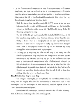 - Các yếu tố ảnh hưởng đến hoạt động của lông: tốc độ đập của lông và tốc độ vận 
chuyển nhầy phụ thuộc vào nhiều yếu tố như số lượng lông đập được, tốc độ của 
ngọn lông, chuyển động của lông, sự phối hợp của lông và tác động qua lại lông-nhầy 
trong đó đặc tính về chuyển vận và bề mặt của nhầy đóng vai trò chủ yếu. 
Hoạt động của lông phụ thuộc vào nhiều yếu tố: 
+ Nhiệt độ: các sợi lông giao động mạnh nhất ở 370C, ngưng lại khi quá lạnh 
hoặc quá nóng. Do vậy, khi mở khí quản, đặt nội khí quản hay cho bệnh nhân 
thở máy ta phải làm ấm và ẩm không khí. Nếu không khí không đủ ấm thì 
lông cũng ngừng chuyển động. 
+ Các khí và khói độc gây kích thích như khói thuốc lá, khí CO, SiO2... có thể 
kìm hãm hoạt động của lông hoặc thoái hóa niêm mạc tế bào lông. Hỗn hợp 
khí bụi ví dụ khói thuốc lá có tác động kéo dài trên niêm mạc hô hấp vì các 
khí có thể cố định, bám vào các hạt bụi và các hạt này dính vào niêm dịch phế 
quản. Chính vì tác động kéo dài này hỗn hợp khí bụi trở thành một trong 
những yếu tố thuận lợi để khói thuốc lá gây ung thư. 
+ Tác động qua lại nhầy-lông: đặc điểm của chất nhầy sẽ ảnh hưởng trực tiếp 
đến tốc độ vận chuyển nhầy lông do đó ảnh hưởng đến cơ chế thanh lọc khí 
của đường hô hấp. Độ nhầy quá thấp hay quá cao đều khiến cho lông đập 
chậm lại do đó giảm tốc độ vận chuyển nhầy. Bề dầy của chất nhầy phủ lên 
biểu mô cũng là yếu tố quan trọng trong tác động qua lại nhầy-lông. Nếu chất 
nhầy bao quanh lông quá ít, lông sẽ đập rất yếu hoặc không đập. Trái lại, nếu 
lớp nhầy bao quanh lông tăng lên quá mức thì sẽ làm mất đi tính cơ động sánh 
đôi lông-nhầy, làm trì trệ vận chuyển nhầy lông. 
2.3.3. Điều hòa hoạt động hệ nhầy lông 
Thần kinh giao cảm và phó giao cảm phân bố đến các tế bào chế tiết. Ngoài 
những chất dẫn truyền thần kinh như noradrenalin và acetylcholin còn có các 
neuropeptid khác như neuropeptid Y, VIP (vasoactive intestinal peptid), chất P và 
CGRP (calcitonin gen related peptid). 
Kích thích thụ thể b-adrenergic, cholinergic và chất P: bài tiết nhiều dịch lỏng. 
Kích thích thụ thể a-adrenergic: bài tiết ít đi nhưng quánh. 
55 
 
