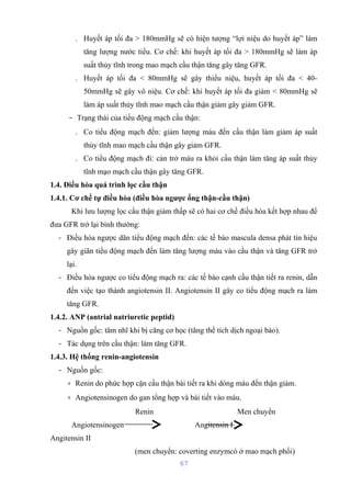 . Huyết áp tối đa > 180mmHg sẽ có hiện tượng “lợi niệu do huyết áp” làm 
tăng lượng nước tiểu. Cơ chế: khi huyết áp tối đa > 180mmHg sẽ làm áp 
suất thủy tĩnh trong mao mạch cầu thận tăng gây tăng GFR. 
. Huyết áp tối đa < 80mmHg sẽ gây thiểu niệu, huyết áp tối đa < 40- 
50mmHg sẽ gây vô niệu. Cơ chế: khi huyết áp tối đa giảm < 80mmHg sẽ 
làm áp suất thủy tĩnh mao mạch cầu thận giảm gây giảm GFR. 
- Trạng thái của tiểu động mạch cầu thận: 
. Co tiểu động mạch đến: giảm lượng máu đến cầu thận làm giảm áp suất 
thủy tĩnh mao mạch cầu thận gây giảm GFR. 
. Co tiểu động mạch đi: cản trở máu ra khỏi cầu thận làm tăng áp suất thủy 
tĩnh mạo mạch cầu thận gây tăng GFR. 
1.4. Điều hòa quá trình lọc cầu thận 
1.4.1. Cơ chế tự điều hòa (điều hòa ngược ống thận-cầu thận) 
Khi lưu lượng lọc cầu thận giảm thấp sẽ có hai cơ chế điều hòa kết hợp nhau để 
đưa GFR trở lại bình thường: 
- Điều hòa ngược dãn tiểu động mạch đến: các tế bào mascula densa phát tín hiệu 
gây giãn tiểu động mạch đến làm tăng lượng máu vào cầu thận và tăng GFR trở 
lại. 
- Điều hòa ngược co tiểu động mạch ra: các tế bào cạnh cầu thận tiết ra renin, dẫn 
đến việc tạo thành angiotensin II. Angiotensin II gây co tiểu động mạch ra làm 
tăng GFR. 
1.4.2. ANP (antrial natriuretic peptid) 
- Nguồn gốc: tâm nhĩ khi bị căng cơ học (tăng thể tích dịch ngoại bào). 
- Tác dụng trên cầu thận: làm tăng GFR. 
1.4.3. Hệ thống renin-angiotensin 
- Nguồn gốc: 
+ Renin do phức hợp cận cầu thận bài tiết ra khi dòng máu đến thận giảm. 
+ Angiotensinogen do gan tổng hợp và bài tiết vào máu. 
Renin Men chuyển 
Angiotensinogen Angitensin I 
Angitensin II 
(men chuyển: coverting enzymcó ở mao mạch phổi) 
67 
 
