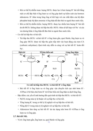 + Khi cơ thể bị nhiễm toan: lượng HCO3 
- được lọc ít hơn lượng H+ bài tiết bằng 
một cơ chế đặc biệt ở ống lượn xa và ống góp dưới sự kiểm soát của hormon 
aldosteron. H+ thừa trong lòng ống sẽ kết hợp với các chất đệm của hệ đệm 
phosphat hoặc hệ đệm amoniac ở ống thận để đào thải ra ngoài theo nước tiểu. 
+ Khi cơ thể bị nhiễm kiềm: lượng HCO3 
- được lọc nhiều hơn lượng H+ bài tiết 
do đó HCO3 
- không được tái hấp thu hết. HCO3 
- thừa sẽ kết hợp với Na+ và các 
ion dương khác ở ống thận để đào thải ra ngoài theo nước tiểu. 
- Cơ chế tái hấp thu và bài tiết: 
+ Tái hấp thu HCO3 
- và bài tiết H+ ở ống lượn gần, quai Henle, ống lượn xa và 
ống góp: HCO3 
- được tái hấp thu gián tiếp nhờ vào hoạt động của men CA 
(carbonic anhydrase). Quá trình này diễn ra cùng với sự bài tiết H+ hoán đổi 
Na+. 
Dịch kẽ Tế bào biểu mô Lòng ống thận 
Na+ Na+ Na+ HCO3 
- 
ATPase 
K+ K+ H+ H+ 
H2O H2CO3 
HCO3 
- HCO3 
- H2CO3 CO2 CO2 CA 
CA 
H2O 
Cơ chế tái hấp thu HCO3 
- và bài tiết H+ ở ống thận 
+ Bài tiết H+ ở ống lượn xa và ống góp: vận chuyển tích cực nhờ bơm H+- 
ATPase ở bờ bàn chải bơm H+ từ tế bào biểu mô ống thận ra dịch lòng ống. 
- Đặc điểm: các yếu tố ảnh hưởng đến quá trình tái hấp thu HCO3 
- và bài tiết H+: 
+ PaCO2 trong máu tỷ lệ thuận với sự hấp thu và bài tiết. 
+ Tổng lượng K+ trong cơ thể tỷ lệ nghịch với sự hấp thu và bài tiết. 
+ Nồng độ Cl- trong máu tỷ lệ nghịch với sự hấp thu và bài tiết. 
+ Aldosteron làm tăng sự bài tiết H+ do tác dụng trên bơm H+-ATPase ở ống 
lượn xa và ống góp. 
2.7. Bài tiết NH3 
- Vị trí: ống lượn gần, ống lượn xa, quai Henle và ống góp. 
72 
 