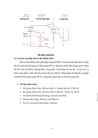 Khoảng kẽ Tế bào ống thận Lòng ống 
4.2. Vai trò của thận khi cơ thể nhiễm kiềm 
Khi cơ thể nhiễm kiềm (pH tăng) nồng độ HCO3 
- trong dịch kẽ tăng lên và nồng 
độ CO2 giảm đi. Kết quả là ở thận lượng HCO3 
- được lọc nhiều hơn lượng ion H+ được 
bài tiết. Các ion HCO3 
- không được “trung hòa” sẽ kết hợp với ion Na+ và các ion (+) 
khác ở ống thận và đào thải theo nước tiểu. Ion HCO3 
- không được tái hấp thu có nghĩa 
là thận đã làm giảm lượng HCO3 
- trong dịch ngoại bào và do đó là giảm pH. 
· Tài liệu tham khảo: 
1. Bài giảng Sinh lý học, Bộ môn Sinh lý, Trường Đại học Y Hà Nội. 
2. Bài giảng Sinh lý học, Bộ môn Sinh lý, Đại học Y Dược Tp. HCM. 
3. Textbook of medical physiology, Guyston and Hall. 
4. Human physiology, Rhoades and Pflanzer. 
5. Rieview of medical physiology, Ganong. 
78 
CA 
Hệ đệm amoniac 
HCO 
mới 
 