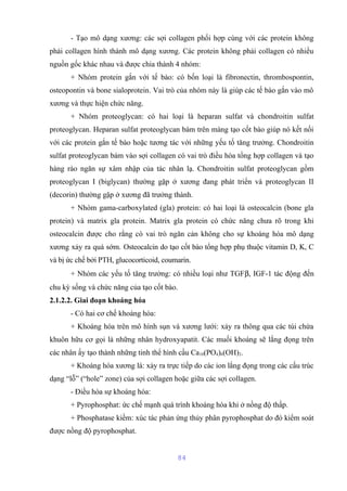 - Tạo mô dạng xương: các sợi collagen phối hợp cùng với các protein không 
phải collagen hình thành mô dạng xương. Các protein không phải collagen có nhiều 
nguồn gốc khác nhau và được chia thành 4 nhóm: 
+ Nhóm protein gắn với tế bào: có bốn loại là fibronectin, thrombospontin, 
osteopontin và bone sialoprotein. Vai trò của nhóm này là giúp các tế bào gắn vào mô 
xương và thực hiện chức năng. 
+ Nhóm proteoglycan: có hai loại là heparan sulfat và chondroitin sulfat 
proteoglycan. Heparan sulfat proteoglycan bám trên màng tạo cốt bào giúp nó kết nối 
với các protein gắn tế bào hoặc tương tác với những yếu tố tăng trưởng. Chondroitin 
sulfat proteoglycan bám vào sợi collagen có vai trò điều hòa tổng hợp collagen và tạo 
hàng rào ngăn sự xâm nhập của tác nhân lạ. Chondroitin sulfat proteoglycan gồm 
proteoglycan I (biglycan) thường gặp ở xương đang phát triển và proteoglycan II 
(decorin) thường gặp ở xương đã trưởng thành. 
+ Nhóm gama-carboxylated (gla) protein: có hai loại là osteocalcin (bone gla 
protein) và matrix gla protein. Matrix gla protein có chức năng chưa rõ trong khi 
osteocalcin được cho rằng có vai trò ngăn cản không cho sự khoáng hóa mô dạng 
xương xảy ra quá sớm. Osteocalcin do tạo cốt bào tổng hợp phụ thuộc vitamin D, K, C 
và bị ức chế bởi PTH, glucocorticoid, coumarin. 
+ Nhóm các yếu tố tăng trưởng: có nhiều loại như TGFb, IGF-1 tác động đến 
chu kỳ sống và chức năng của tạo cốt bào. 
2.1.2.2. Giai đoạn khoáng hóa 
- Có hai cơ chế khoáng hóa: 
+ Khoáng hóa trên mô hình sụn và xương lưới: xảy ra thông qua các túi chứa 
khuôn hữu cơ gọi là những nhân hydroxyapatit. Các muối khoáng sẽ lắng đọng trên 
các nhân ấy tạo thành những tinh thể hình cầu Ca10(PO4)6(OH)2. 
+ Khoáng hóa xương lá: xảy ra trực tiếp do các ion lắng đọng trong các cấu trúc 
dạng “lỗ” (“hole” zone) của sợi collagen hoặc giữa các sợi collagen. 
- Điều hòa sự khoáng hóa: 
+ Pyrophosphat: ức chế mạnh quá trình khoáng hóa khi ở nồng độ thấp. 
+ Phosphatase kiềm: xúc tác phản ứng thủy phân pyrophosphat do đó kiểm soát 
được nồng độ pyrophosphat. 
84 
 