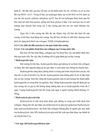 kênh K+. Bờ đáy bên của hủy cốt bào có rất nhiều bơm Na+/K+-ATPase và có sự trao 
đổi của HCO3 
- và Cl-. Trong tế bào, ion hydrogen được tạo ra bởi H2O và CO2 dưới sự 
xúc tác của enzym carbonic anhydrase typ II. Sau đó ion hydrogen được bơm qua bờ 
bàn chải bởi một bơm proton, giống như bơm proton ở thận. Các acid này tạo ra môi 
trường toan chuyên biệt trong các ổ tiêu xương gây hòa tan các muối khoáng của 
xương. 
Ngay khi ổ tiêu xương đạt đến độ sâu 50mm, hủy cốt bào dời khỏi bề mặt 
xương và kết thúc hoạt động tiêu xương. Sau đó hủy cốt bào sẽ chết theo chương trình 
dưới tác dụng kích thích của estrogen, TGFb và bisphosphonat. 
2.2.3. Các chất chỉ dẫn (markers) của quá trình tiêu xương 
2.2.4.1. Các sản phẩm thoái hóa của collagen typ I trong nước tiểu 
Khi hủy cốt bào hoạt động, collagen typ I bị thoái hóa, các sản phẩm được đào 
thải qua nước tiểu. Do vậy, đây là những chỉ số giúp đánh giá sự hủy xương. 
* Hydroxyprolin niệu 
Khi xương bị tiêu hủy, hydroxyprolin được giải phóng từ sự thoái hóa collagen 
và được đào thải nguyên dạng tự do qua thận vì acid amin này không bị chuyển hóa. 
Hydroxyprolin cũng được phóng thích ra trong quá trình chuyển hóa của da, mô 
liên kết và yếu tố bổ thể C1q. Do đó, hydroxyprolin niệu không phải là chỉ số đặc hiệu 
cho sự tiêu xương. Hơn thế, nồng độ hydroxyprolin niệu bị ảnh hưởng bởi thành phần 
hydroxyprolin có trong thức ăn (gelatin, thịt). Dùng hydroxyprolin niệu để đánh giá sự 
tiêu xương chỉ có giá trị khi không dùng những thức ăn có hydroxyprolin trước đó 2 
ngày. Lượng hydroxyprolin bài tiết trong một ngày ở người trưởng thành khoảng 15- 
45mg. 
* Hydroxylysin glycosid niệu 
Hydroxylysin là một acid amin được giải phóng ra trong quá trình thoái hóa 
collagen. Dạng bài tiết qua thận của hydroxylysin là glucosyl-galactosyl-hydroxylysin 
hoặc glucosyl-hydroxylysin. Sự thoái hóa collagen không phải là nguồn gốc duy nhất 
của hydroxylysin, trên 50% hydroxylysin glycosid bài xuất qua thận được tạo thành từ 
sự chuyển hóa C1q. 
* Các hợp chất hydroxypyridinium niệu 
87 
 