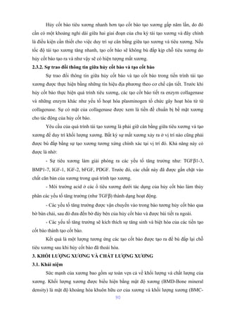 Hủy cốt bào tiêu xương nhanh hơn tạo cốt bào tạo xương gấp năm lần, do đó 
cần có một khoảng nghỉ dài giữa hai giai đoạn của chu kỳ tái tạo xương và đây chính 
là điều kiện cần thiết cho việc duy trì sự cân bằng giữa tạo xương và tiêu xương. Nếu 
tốc độ tái tạo xương tăng nhanh, tạo cốt bào sẽ không bù đắp kịp chỗ tiêu xương do 
hủy cốt bào tạo ra và như vậy sẽ có hiện tượng mất xương. 
2.3.2. Sự trao đổi thông tin giữa hủy cốt bào và tạo cốt bào 
Sự trao đổi thông tin giữa hủy cốt bào và tạo cốt bào trong tiến trình tái tạo 
xương được thực hiện bằng những tín hiệu địa phương theo cơ chế cận tiết. Trước khi 
hủy cốt bào thực hiện quá trình tiêu xương, các tạo cốt bào tiết ra enzym collagenase 
và những enzym khác như yếu tố hoạt hóa plasminogen tổ chức gây hoạt hóa từ từ 
collagenase. Sự có mặt của collagenase được xem là tiền đề chuẩn bị bề mặt xương 
cho tác động của hủy cốt bào. 
Yêu cầu của quá trình tái tạo xương là phải giữ cân bằng giữa tiêu xương và tạo 
xương để duy trì khối lượng xương. Bất kỳ sự mất xương xảy ra ở vị trí nào cũng phải 
được bù đắp bằng sự tạo xương tương xứng chính xác tại vị trí đó. Khả năng này có 
được là nhờ: 
- Sự tiêu xương làm giải phóng ra các yếu tố tăng trưởng như: TGFb1-3, 
BMP1-7, IGF-1, IGF-2, bFGF, PDGF. Trước đó, các chất này đã được gắn chặt vào 
chất căn bản của xương trong quá trình tạo xương. 
- Môi trường acid ở các ổ tiêu xương dưới tác dụng của hủy cốt bào làm thủy 
phân các yếu tố tăng trưởng (như TGFb) thành dạng hoạt động. 
- Các yếu tố tăng trưởng được vận chuyển vào trong bào tương hủy cốt bào qua 
bờ bàn chải, sau đó đưa đến bờ đáy bên của hủy cốt bào và được bài tiết ra ngoài. 
- Các yếu tố tăng trưởng sẽ kích thích sự tăng sinh và biệt hóa của các tiền tạo 
cốt bào thành tạo cốt bào. 
Kết quả là một lượng tương ứng các tạo cốt bào được tạo ra để bù đắp lại chỗ 
tiêu xương sau khi hủy cốt bào đã thoái hóa. 
3. KHỐI LƯỢNG XƯƠNG VÀ CHẤT LƯỢNG XƯƠNG 
3.1. Khái niệm 
Sức mạnh của xương bao gồm sự toàn vẹn cả về khối lượng và chất lượng của 
xương. Khối lượng xương được biểu hiện bằng mật độ xương (BMD-Bone mineral 
density) là mật độ khoáng hóa khuôn hữu cơ của xương và khối lượng xương (BMC- 
90 
 