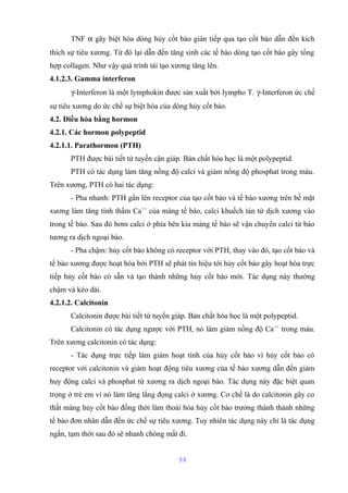 TNF a gây biệt hóa dòng hủy cốt bào gián tiếp qua tạo cốt bào dẫn đến kích 
thích sự tiêu xương. Từ đó lại dẫn đến tăng sinh các tế bào dòng tạo cốt bào gây tổng 
hợp collagen. Như vậy quá trình tái tạo xương tăng lên. 
4.1.2.3. Gamma interferon 
g-Interferon là một lymphokin được sản xuất bởi lympho T. g-Interferon ức chế 
sự tiêu xương do ức chế sự biệt hóa của dòng hủy cốt bào. 
4.2. Điều hòa bằng hormon 
4.2.1. Các hormon polypeptid 
4.2.1.1. Parathormon (PTH) 
PTH được bài tiết từ tuyến cận giáp. Bản chất hóa học là một polypeptid. 
PTH có tác dụng làm tăng nồng độ calci và giảm nồng độ phosphat trong máu. 
Trên xương, PTH có hai tác dụng: 
- Pha nhanh: PTH gắn lên receptor của tạo cốt bào và tế bào xương trên bề mặt 
xương làm tăng tính thấm Ca++ của màng tế bào, calci khuếch tán từ dịch xương vào 
trong tế bào. Sau đó bơm calci ở phía bên kia màng tế bào sẽ vận chuyển calci từ bào 
tương ra dịch ngoại bào. 
- Pha chậm: hủy cốt bào không có receptor với PTH, thay vào đó, tạo cốt bào và 
tế bào xương được hoạt hóa bởi PTH sẽ phát tín hiệu tới hủy cốt bào gây hoạt hóa trực 
tiếp hủy cốt bào có sẵn và tạo thành những hủy cốt bào mới. Tác dụng này thường 
chậm và kéo dài. 
4.2.1.2. Calcitonin 
Calcitonin được bài tiết từ tuyến giáp. Bản chất hóa học là một polypeptid. 
Calcitonin có tác dụng ngược với PTH, nó làm giảm nồng độ Ca++ trong máu. 
Trên xương calcitonin có tác dụng: 
- Tác dụng trực tiếp làm giảm hoạt tính của hủy cốt bào vì hủy cốt bào có 
receptor với calcitonin và giảm hoạt động tiêu xương của tế bào xương dẫn đến giảm 
huy động calci và phosphat từ xương ra dịch ngoại bào. Tác dụng này đặc biệt quan 
trọng ở trẻ em vì nó làm tăng lắng đọng calci ở xương. Cơ chế là do calcitonin gây co 
thắt màng hủy cốt bào đồng thời làm thoái hóa hủy cốt bào trưởng thành thành những 
tế bào đơn nhân dẫn đến ức chế sự tiêu xương. Tuy nhiên tác dụng này chỉ là tác dụng 
ngắn, tạm thời sau đó sẽ nhanh chóng mất đi. 
94 
 