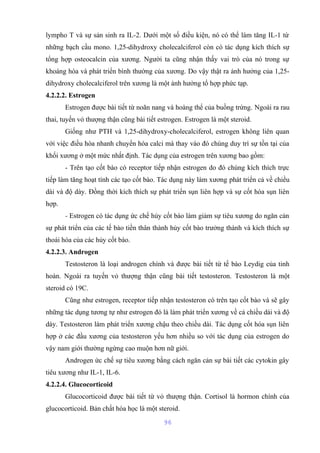 lympho T và sự sản sinh ra IL-2. Dưới một số điều kiện, nó có thể làm tăng IL-1 từ 
những bạch cầu mono. 1,25-dihydroxy cholecalciferol còn có tác dụng kích thích sự 
tổng hợp osteocalcin của xương. Người ta cũng nhận thấy vai trò của nó trong sự 
khoáng hóa và phát triển bình thường của xương. Do vậy thật ra ảnh hưởng của 1,25- 
dihydroxy cholecalciferol trên xương là một ảnh hưởng tổ hợp phức tạp. 
4.2.2.2. Estrogen 
Estrogen được bài tiết từ noãn nang và hoàng thể của buồng trứng. Ngoài ra rau 
thai, tuyến vỏ thượng thận cũng bài tiết estrogen. Estrogen là một steroid. 
Giống như PTH và 1,25-dihydroxy-cholecalciferol, estrogen không liên quan 
với việc điều hòa nhanh chuyển hóa calci mà thay vào đó chúng duy trì sự tồn tại của 
khối xương ở một mức nhất định. Tác dụng của estrogen trên xương bao gồm: 
- Trên tạo cốt bào có receptor tiếp nhận estrogen do đó chúng kích thích trực 
tiếp làm tăng hoạt tính các tạo cốt bào. Tác dụng này làm xương phát triển cả về chiều 
dài và độ dày. Đồng thời kích thích sự phát triển sụn liên hợp và sự cốt hóa sụn liên 
hợp. 
- Estrogen có tác dụng ức chế hủy cốt bào làm giảm sự tiêu xương do ngăn cản 
sự phát triển của các tế bào tiền thân thành hủy cốt bào trưởng thành và kích thích sự 
thoái hóa của các hủy cốt bào. 
4.2.2.3. Androgen 
Testosteron là loại androgen chính và được bài tiết từ tế bào Leydig của tinh 
hoàn. Ngoài ra tuyến vỏ thượng thận cũng bài tiết testosteron. Testosteron là một 
steroid có 19C. 
Cũng như estrogen, receptor tiếp nhận testosteron có trên tạo cốt bào và sẽ gây 
những tác dụng tương tự như estrogen đó là làm phát triển xương về cả chiều dài và độ 
dày. Testosteron làm phát triển xương chậu theo chiều dài. Tác dụng cốt hóa sụn liên 
hợp ở các đầu xương của testosteron yếu hơn nhiều so với tác dụng của estrogen do 
vậy nam giới thường ngừng cao muộn hơn nữ giới. 
Androgen ức chế sự tiêu xương bằng cách ngăn cản sự bài tiết các cytokin gây 
tiêu xương như IL-1, IL-6. 
4.2.2.4. Glucocorticoid 
Glucocorticoid được bài tiết từ vỏ thượng thận. Cortisol là hormon chính của 
glucocorticoid. Bản chất hóa học là một steroid. 
96 
 