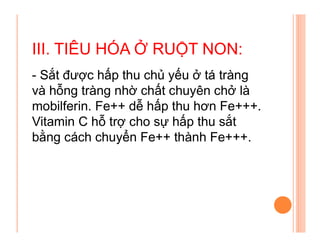 Fe SINH_LY_TIEU_HOA.pdf