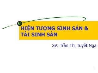 GV: Trần Thị Tuyết Nga HIỆN TƯỢNG SINH SẢN & TÁI SINH SẢN 