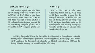 ctDNA/cfDNA và CTCs có thể được phân tích bằng cách sử dụng phương pháp giải
trình tự thế hệ tiếp theo (next-generation sequencing (NGS)). Hàm lượng CTCs protein
và RNA cũng có thể được đánh giá, cũng như các đặc tính chức năng của CTCs, có thể
hướng dẫn việc sử dụng các hợp chất trị liệu tiềm năng.
cfDNA và ctDNA là gì?
Axit nucleic ngoại bào tuần hoàn
(DNA không có tế bào; cell-free DNA
(cfDNA)) và DNA khối u tuần hoàn
(circulating tumor DNA (ctDNA)) có
thể được phân lập từ máu. cfDNA là
DNA lưu thông tự do trong máu, có thể
có hoặc không có nguồn gốc từ khối u,
trong khi ctDNA có nguồn gốc từ khối
u.
CTCs là gì?
Các tế bào khối u tuần hoàn
(Circulating tumor cells (CTCs)) cũng
có thể được phân lập từ máu. Đây là
những tế bào được các khối u đưa vào
máu và thường chỉ tồn tại trong vòng
1–2,5 giờ trong tuần hoàn trước khi bị
hệ thống miễn dịch phá hủy, nhưng một
phần nhỏ có thể sống sót và gieo mầm
cho các vị trí di căn xa.
 