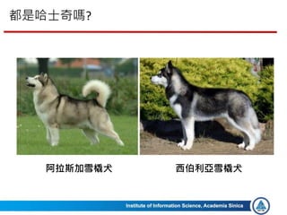 都是哈士奇嗎?
26
阿拉斯加雪橇犬 西伯利亞雪橇犬
 