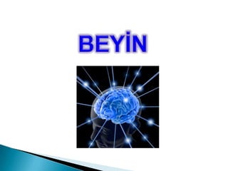 BEYİN