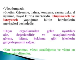 Vücudumuzda yönetim, Öğrenme, hafıza, konuşma, yazma, zeka, düşünme, hayal kurma merkezidir. Düşünerek ve isteyerek yaptığımız bütün hareketlerin merkezleri beyindedir. 