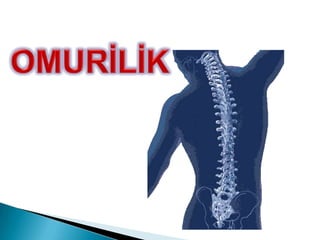 Beyinciğin alt kısmında beyin ve omurilik arasında yer alır. Görevi beyin ve diğer vücut organları arasındaki bağlantıyı sağlamaktır. İsteğimiz dışında çalışan iç organlarımızın denetimini sağlar. Boşaltım, dolaşım, solunum , sindirim sistemlerimizin merkezi buradadır. 