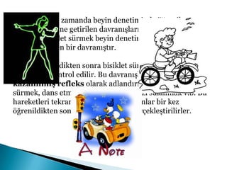Omurilik soğanından başlayarak kuyruk sokumuna kadar uzanır. Omurga tarafından korunur. Omurilikten sağa ve sola doğru 31 çift sinir çıkar. Bu sinirler ile beyin ve diğer organlar arasında iletişim sağlanır. 